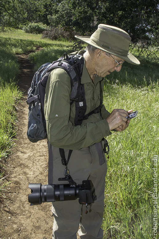 mount diablo